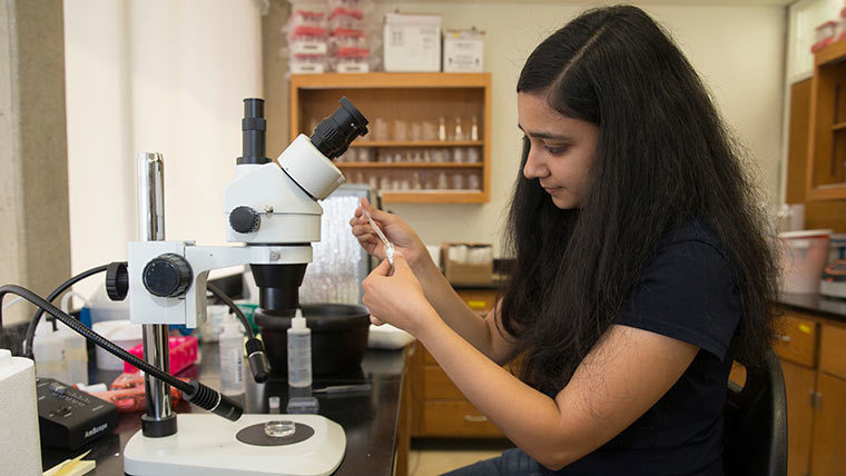 Student examining with a microscope.
