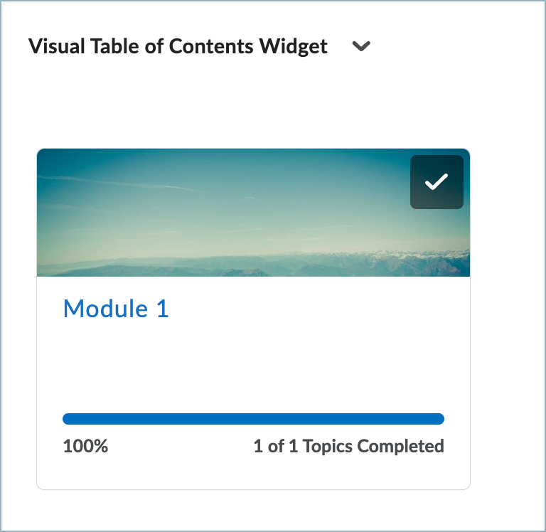 Visual Table of Content Widget in Brightspace