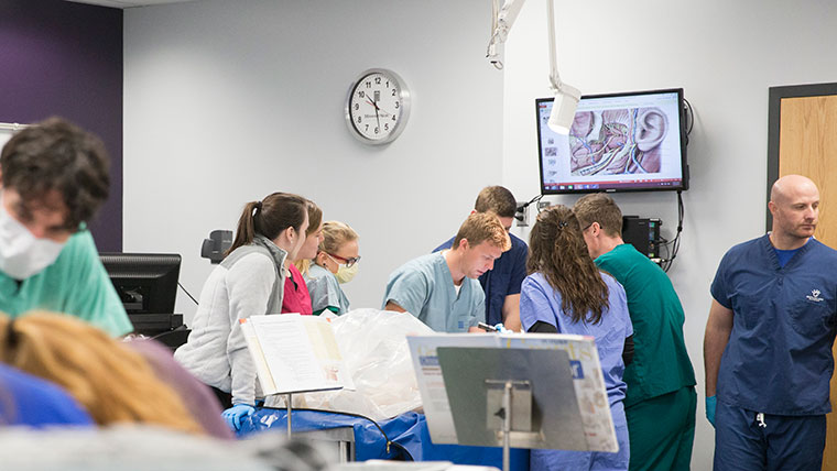 Physician assistant studies students practice a procedure in an anatomy lab.