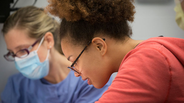 Two students studying together.