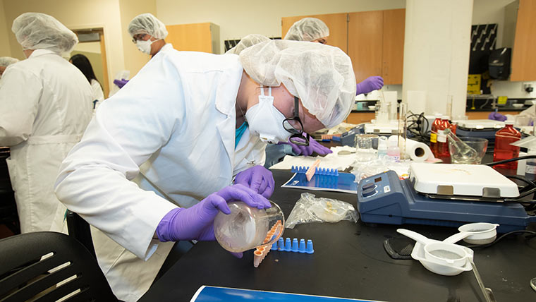 Pharmacy student doing lab activity.